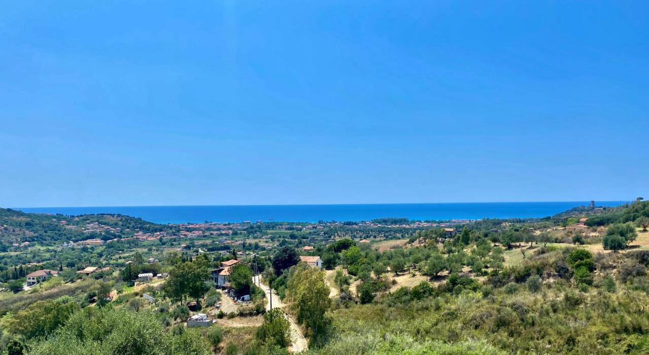 Viuccio